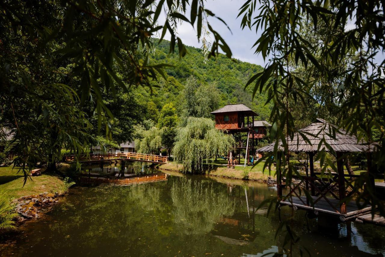 Fratii Jderi - Utopia Verde Brezoi Exterior photo