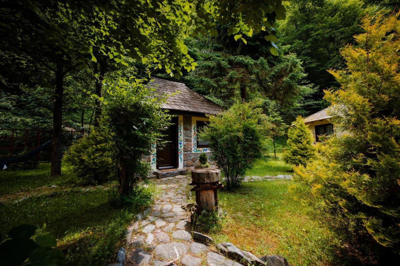 Fratii Jderi - Utopia Verde Brezoi Exterior photo